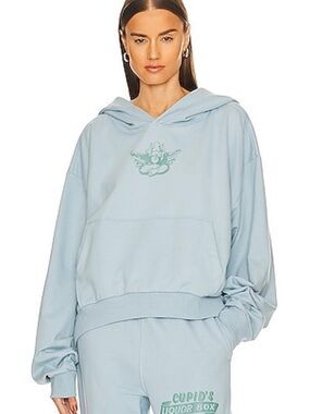 Boys Lie Cupid's Liquor Hoodie in Sky Blue